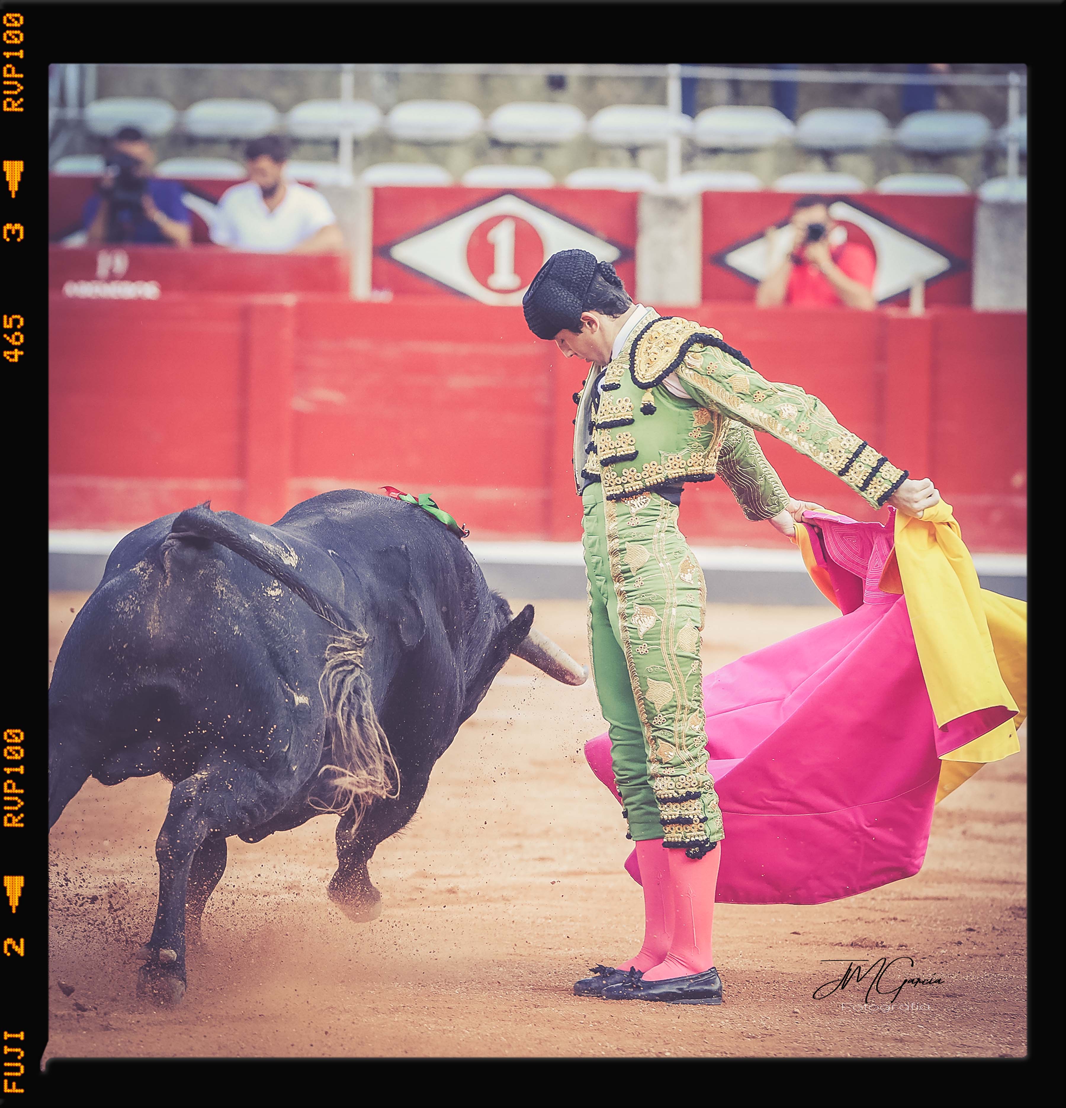 Fotografías de José Manuel García, Novillada 12 de Septiembre.Feria de Salamanca