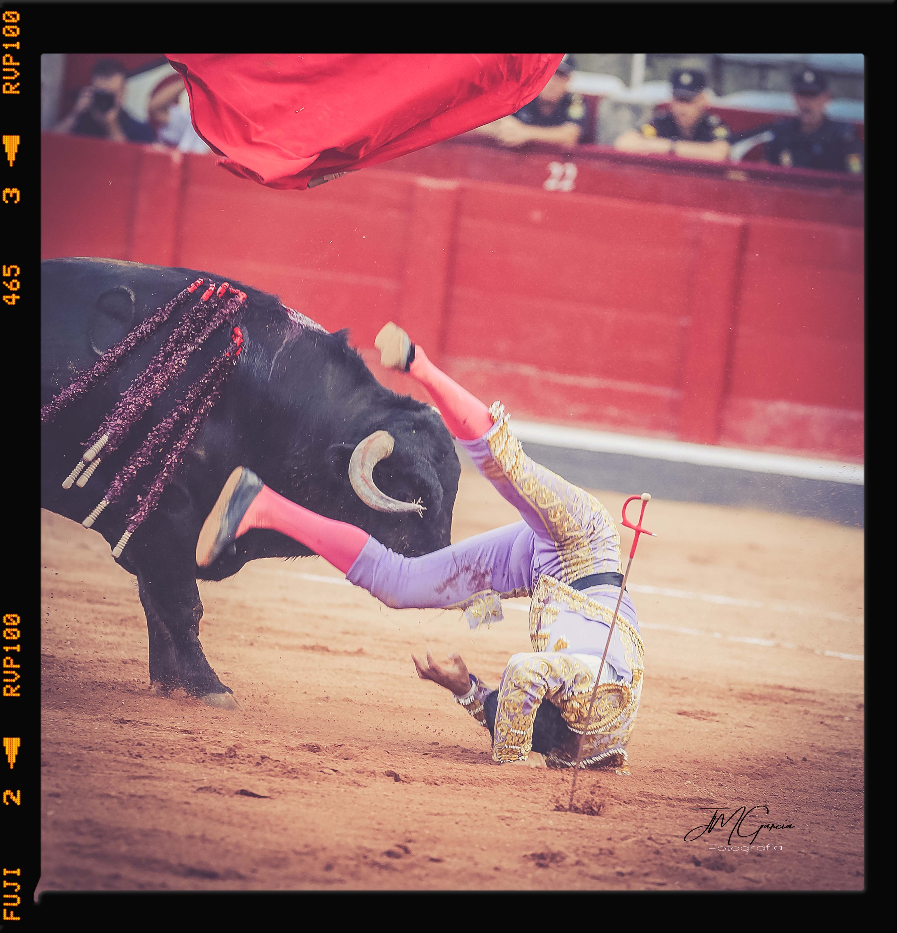 Fotografías de José Manuel García, Novillada 12 de Septiembre.Feria de Salamanca