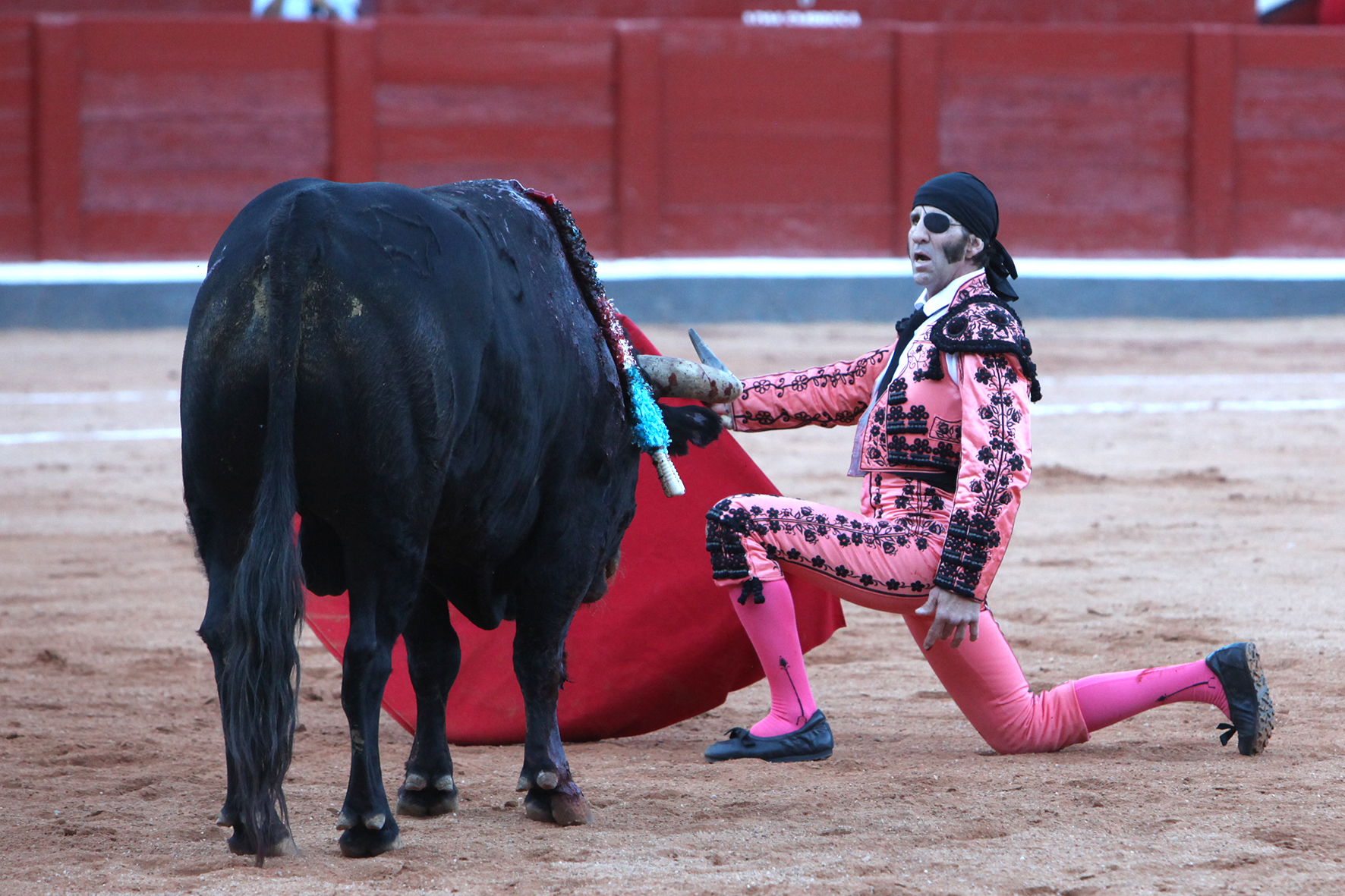 Fotografía Javier Blanco, Feria Taurina de Salamanca, día 15