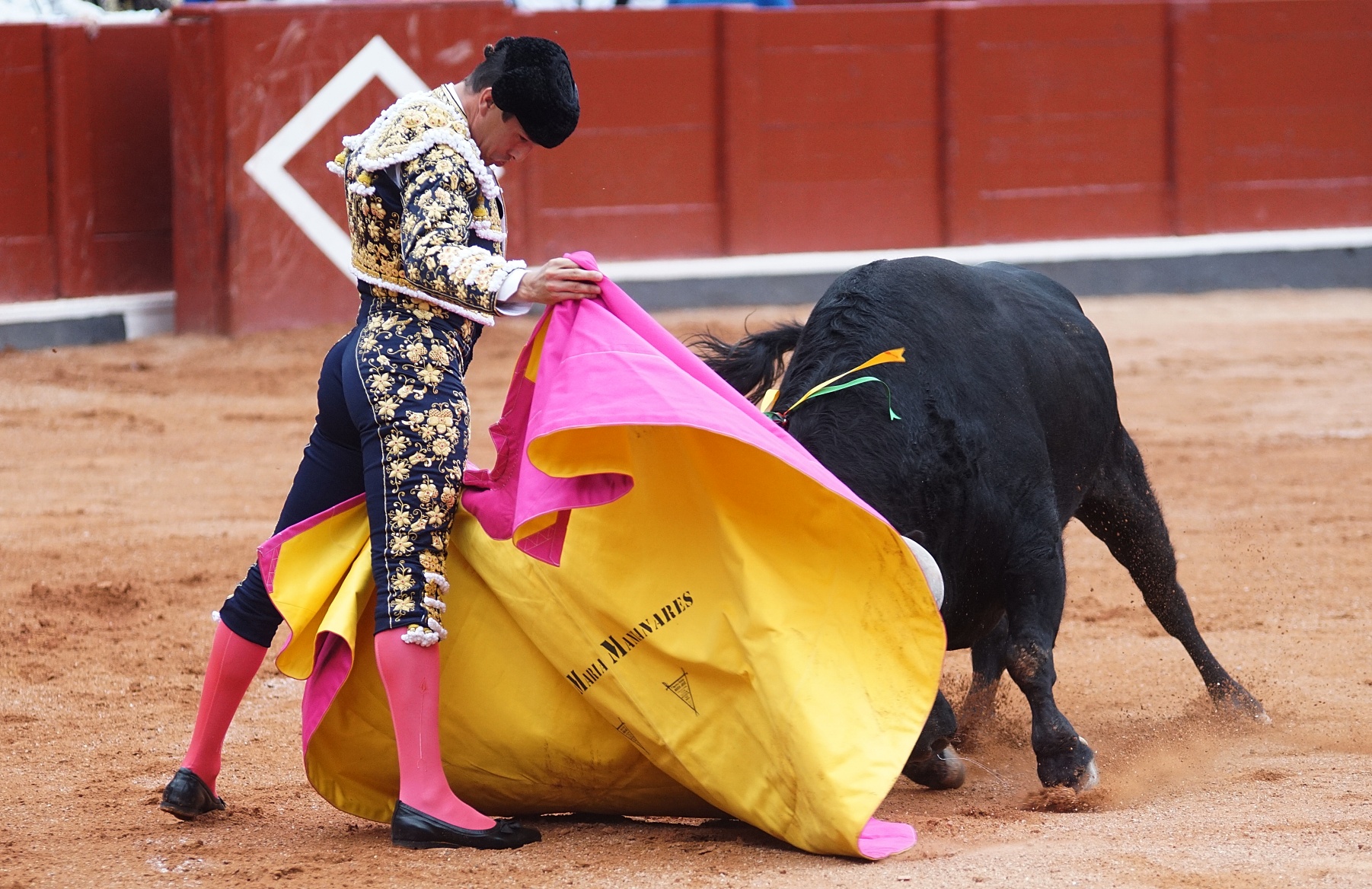 Fotografías de Antonio Fiz, Feria Taurina de Salamanca, día 14